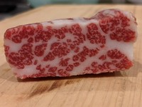 レギュラー：3,300円
ハーフ：2,090円