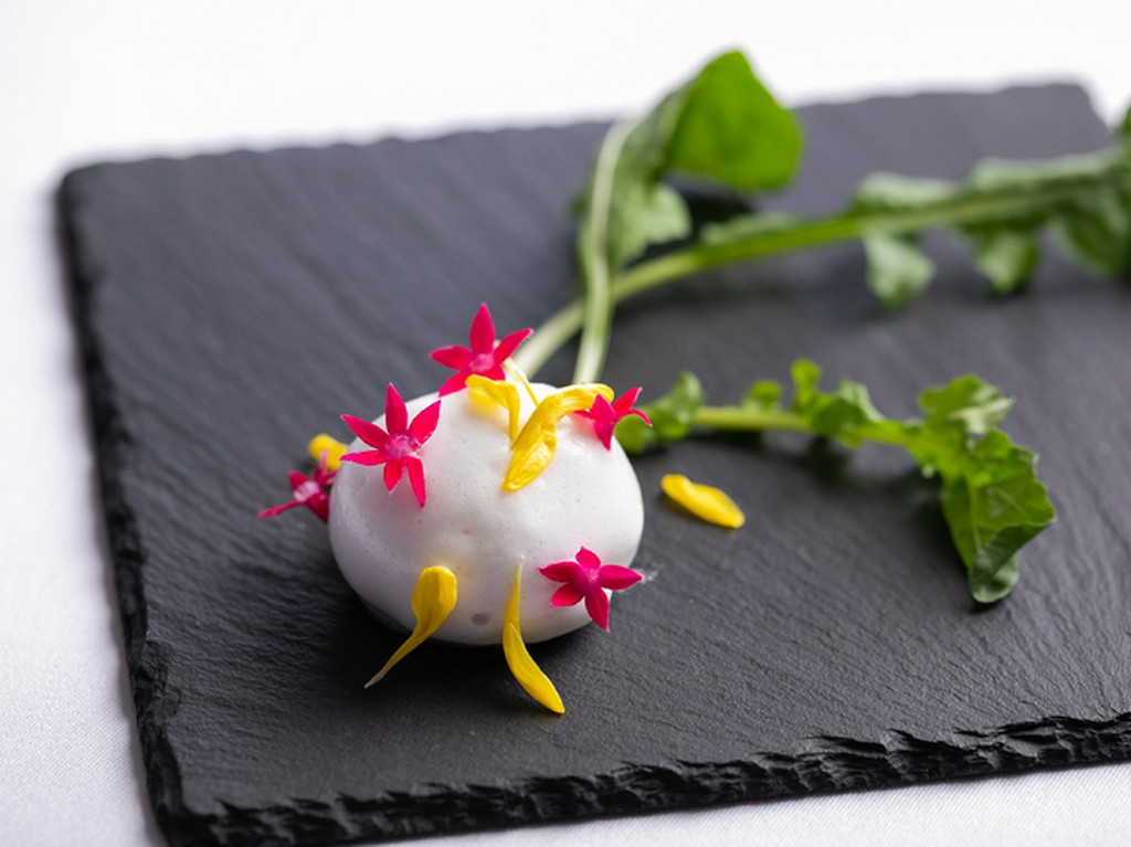 【スペシャルランチコース】Wメインや生うになど全6品