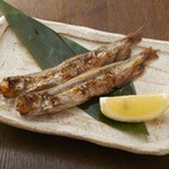  江別 本ししゃも