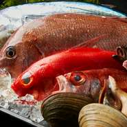 ～～四季折々の旬の魚は、造り、煮付、焼きをご用意～～
愛知県知多半島の師崎港より、天然の鮮魚を仕入れています。
数量限定のお刺身を必食の価値アリです！！
ぜひ、お好みでご賞味ください。