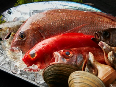 旬の魚をお愉しみください♪