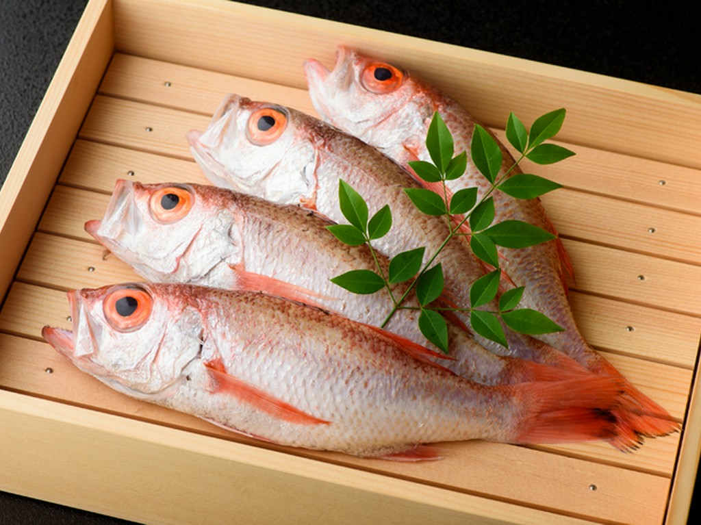 地産地消を大切に、生産者から直接買い付ける春夏秋冬の美味