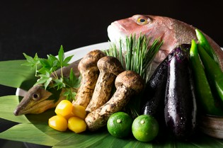 素材のおいしさを最大限引き出し、大地の恵みを存分に味わう