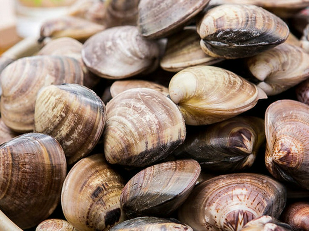 三重県桑名のはまぐり屋から仕入れる焼きはまぐり