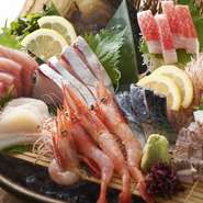 旬の鮮魚を「豊洲市場」から毎日仕入れています。
美味しいのに買い手が付かなかった＜もったいない食材＞を集め、その日の美味しい内に、召し上がっていただきます！