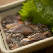 ホタルイカの沖漬け