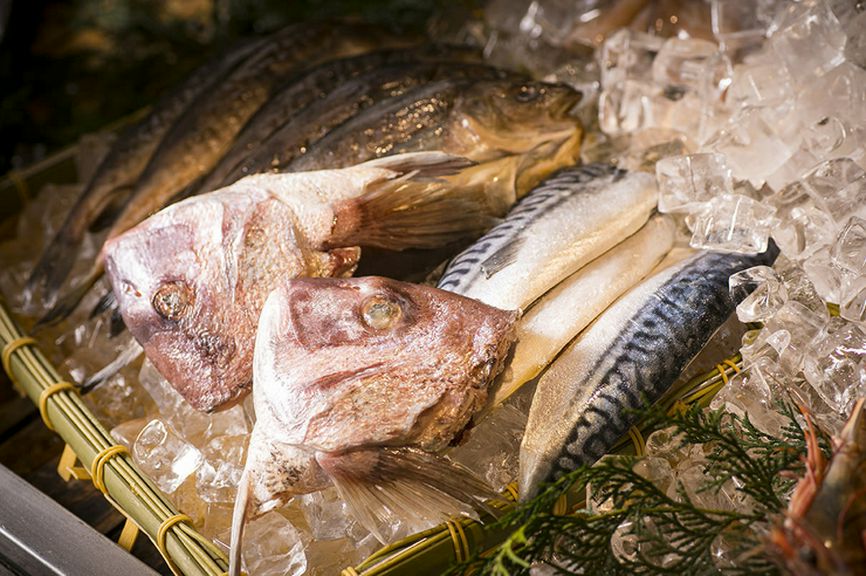 厳選！毎日市場から仕入れたピッチピチの新鮮魚介類が続々入荷。