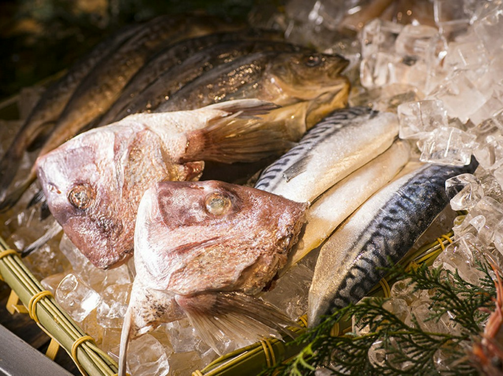 厳選！毎日市場から仕入れたピッチピチの新鮮魚介類が続々入荷。