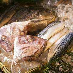 厳選！毎日市場から仕入れたピッチピチの新鮮魚介類が続々入荷。