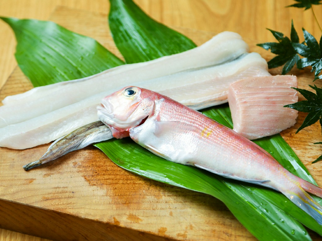 季節のコース8000