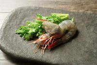 ・水蛸の炙り850円
・天使の海老(1尾)600円
・北海道産帆立貝柱(1個)800円