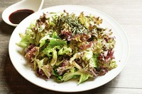 ・梨の家醤油チョレギサラダ950円
・葱と水菜のさっぱりサンチュサラダ1000円
・胡麻ドレッシングサラダ1200円