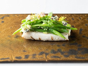 魚介を中心としたシェフスペシャリテコース『急』