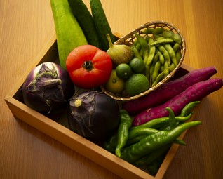 おまかせコース 全8品 【法事・法要・慶事】