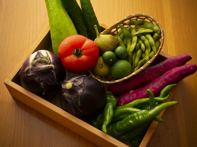 おまかせコース 全8品 【法事・法要・慶事】