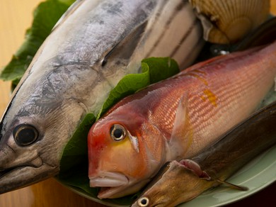 おまかせコース 全8品 【法事・法要・慶事】