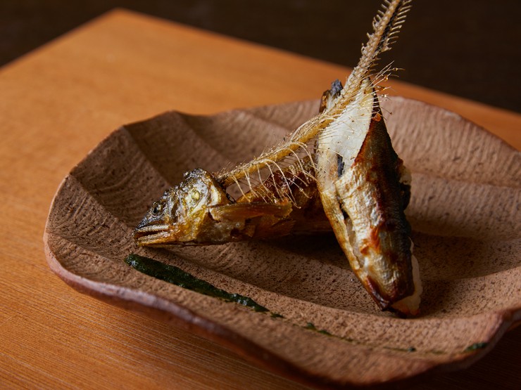 白川たむら 祇園 和食 のグルメ情報 ヒトサラ