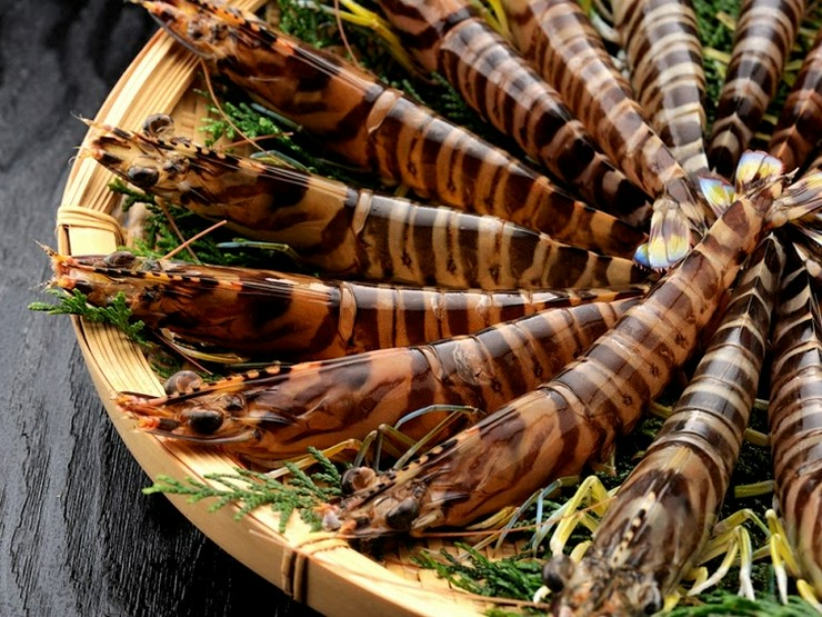 安ん座 新橋 汐留 居酒屋 写真 ヒトサラ