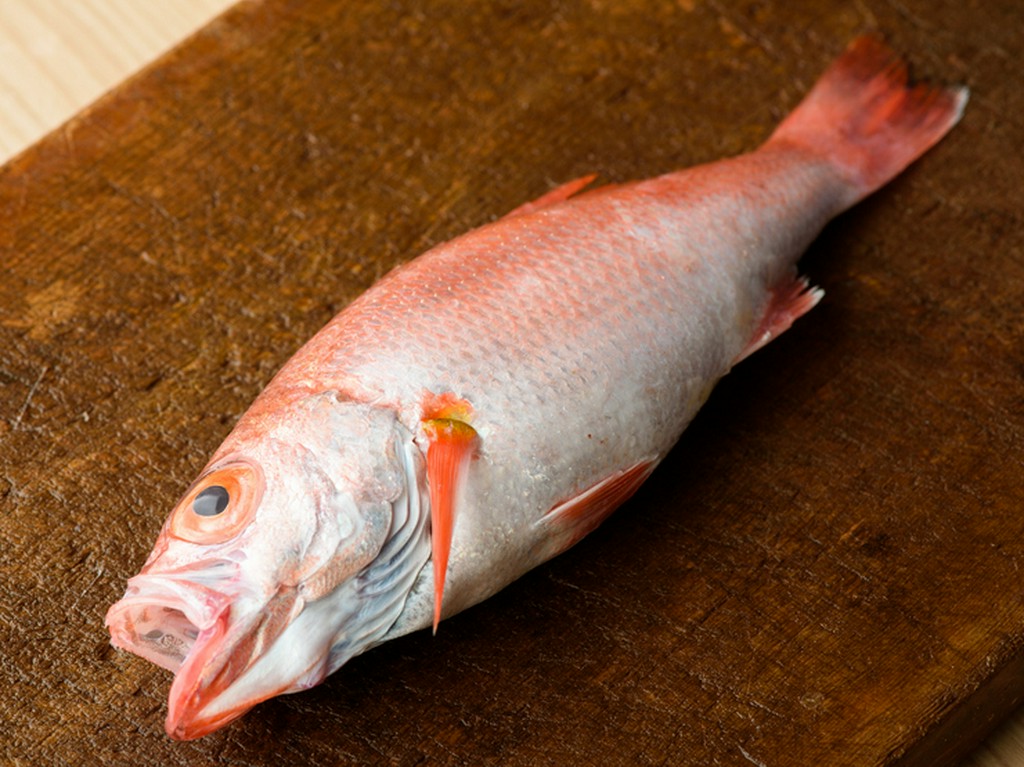 武蔵 はな乃 近江町市場 和食 ネット予約可 ヒトサラ