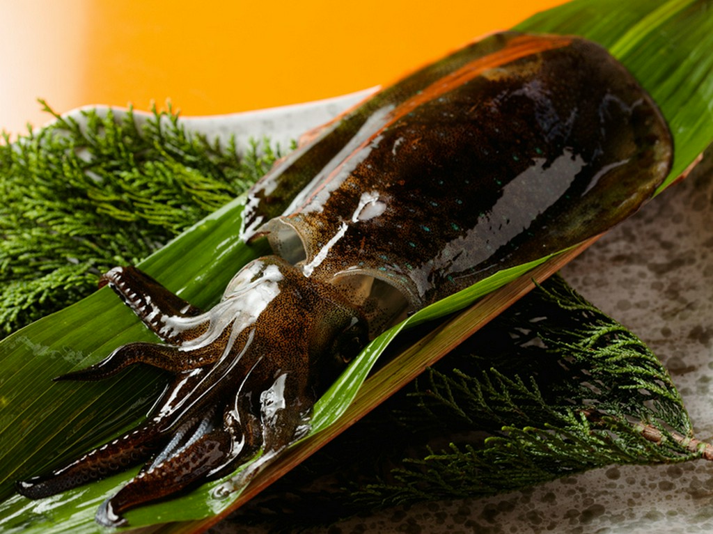 三崎、網代、大分などから仕入れた活魚にこだわる