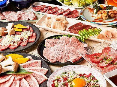 大久保 高田馬場の焼肉ランチおすすめランキング トップ1 ヒトサラ