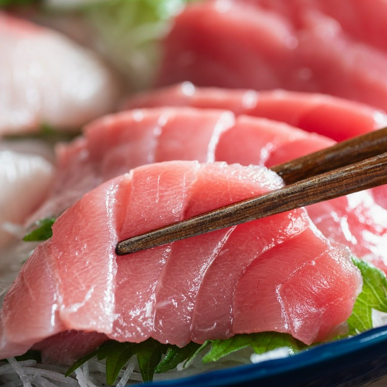 朝どれ鮮魚を味わう！