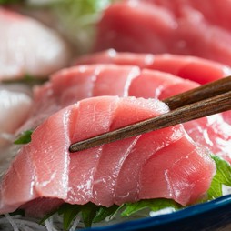 朝どれ鮮魚を味わう！