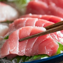 朝どれ鮮魚を味わう！