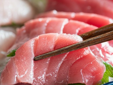 朝どれ鮮魚を味わう！