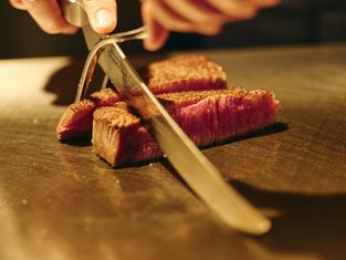 Teppan-yakiryoribian-yokohama