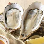 夏の名物、大粒の岩牡蠣が入荷中！
クリーミーな味わいで日本酒が進みます、、