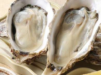 夏季限定！大粒岩牡蠣！
