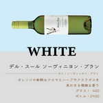 チリ/ソーヴィニヨン・ブラン
オレンジの新鮮なアロマとハーブやアスラガスを思わせる複雑な香り。
グラス：400円/ボトル：2,400円