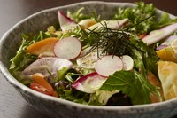 地野菜堪能サラダ