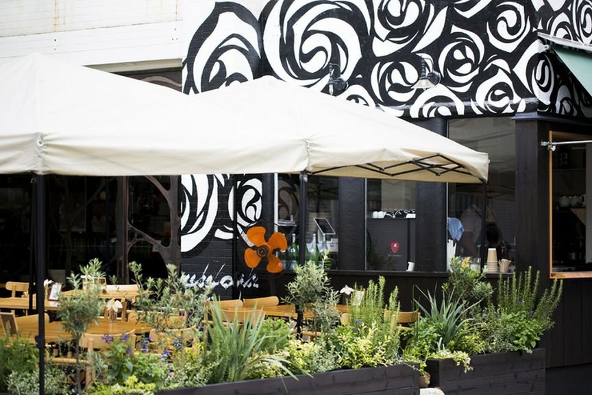 開放的なテラス席とオープンキッチンが魅力の明るい店内