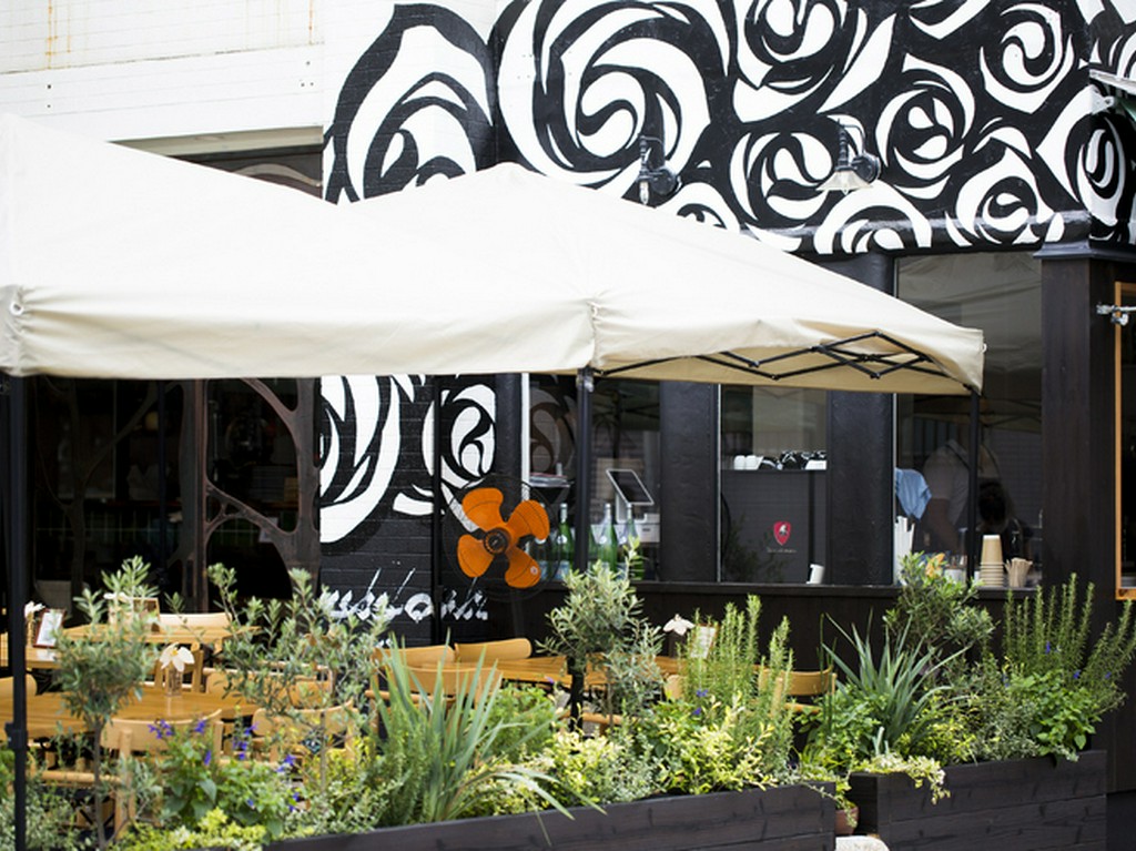 開放的なテラス席とオープンキッチンが魅力の明るい店内