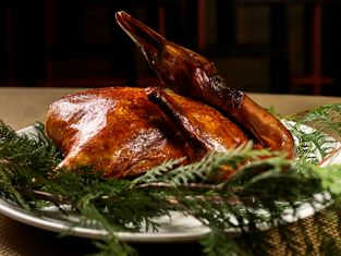 덴츠사이칸 시부야점