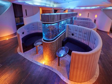 ソファーに座ってアクアリウムを見ながらの食事は格別！