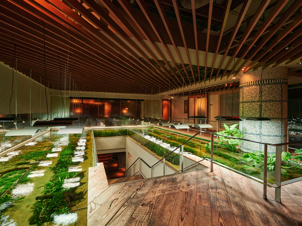 清涼感溢れる水と緑のエントランス