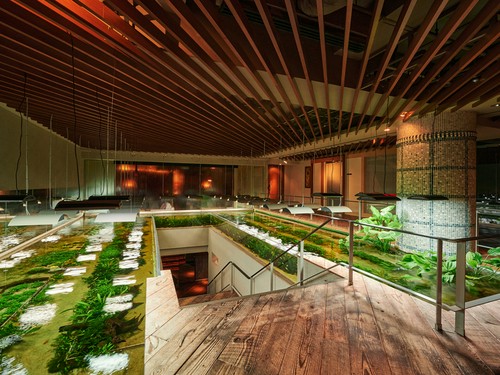 清涼感溢れる水と緑のエントランス