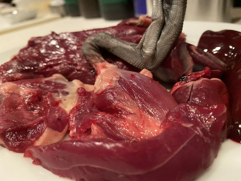 鹿児島産・尾長鴨(ジビエ)