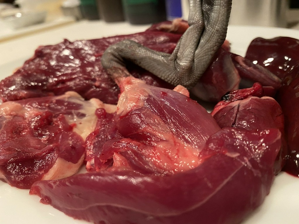 鹿児島産・尾長鴨（ジビエ）