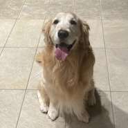 ※こちらのコースは個室ご利用できません
※当店では、お客様一人ひとりとの時間を大切にし、新鮮な食材をご提供するため、以下の通りキャンセルポリシーを設けております
・当日キャンセル・無断キャンセル：コース料金の100% （お席のみ予約の場合は、一律2,000円）

※ディナーは（月・水・木）は前日までの完全予約制
（金・土・日・祝）は当日でも可能