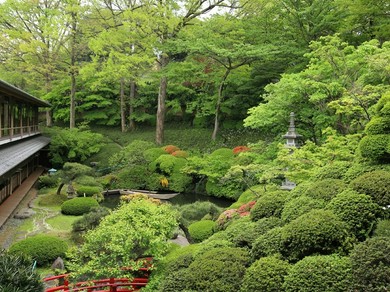 春は桜、秋は紅葉など、日本庭園の四季折々の風情が美しい