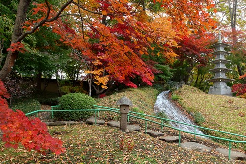 紅葉