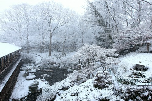 雪景色