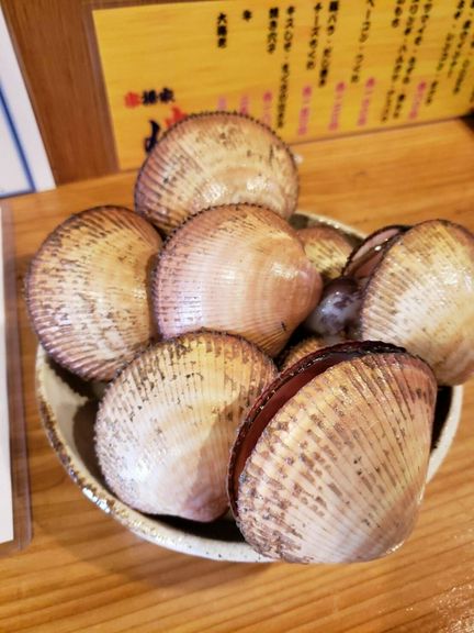 貝もおすすめ