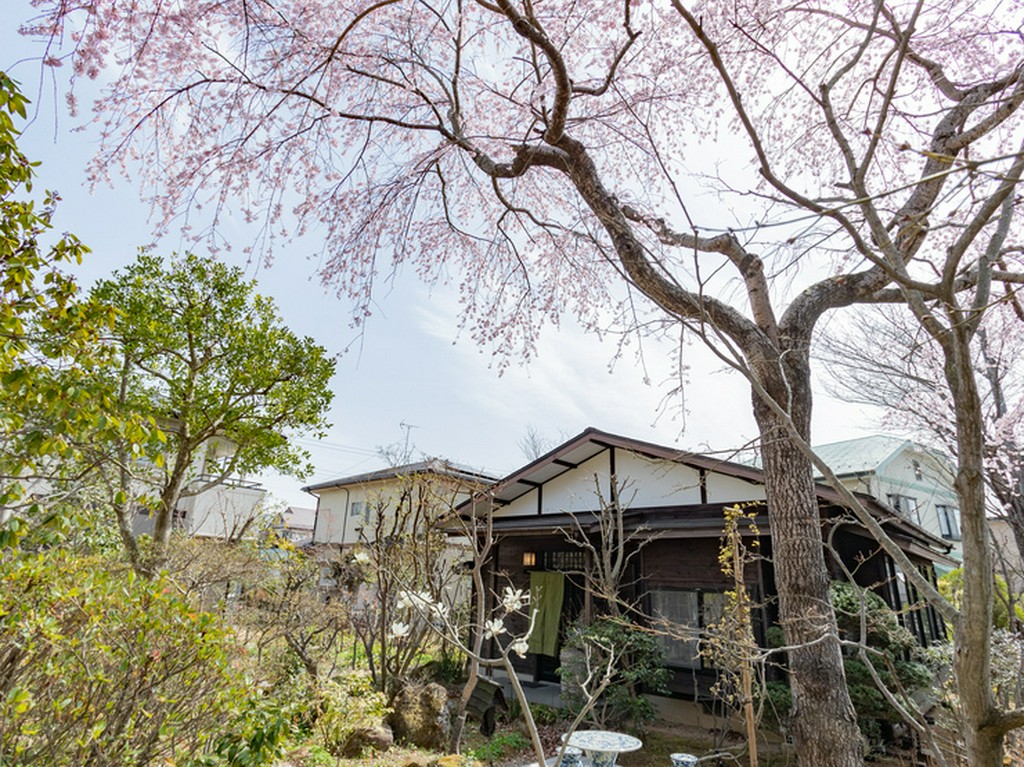 庭の緑が映える、温もりのある空間で焼肉に舌鼓