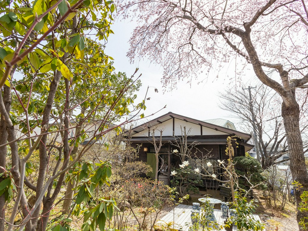 激辛好きにはたまらない！庭で栽培している唐辛子で刺激をプラス