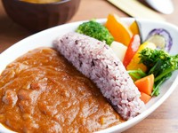 土づくりの「アースダム」がモチーフ。塩麹でまろやかに仕上げた『長柄ダムカレー』